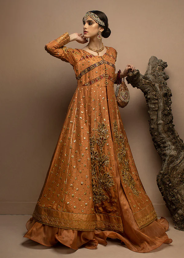 Elegant Silk and Mesuri Peshwas Ensemble - Image 3