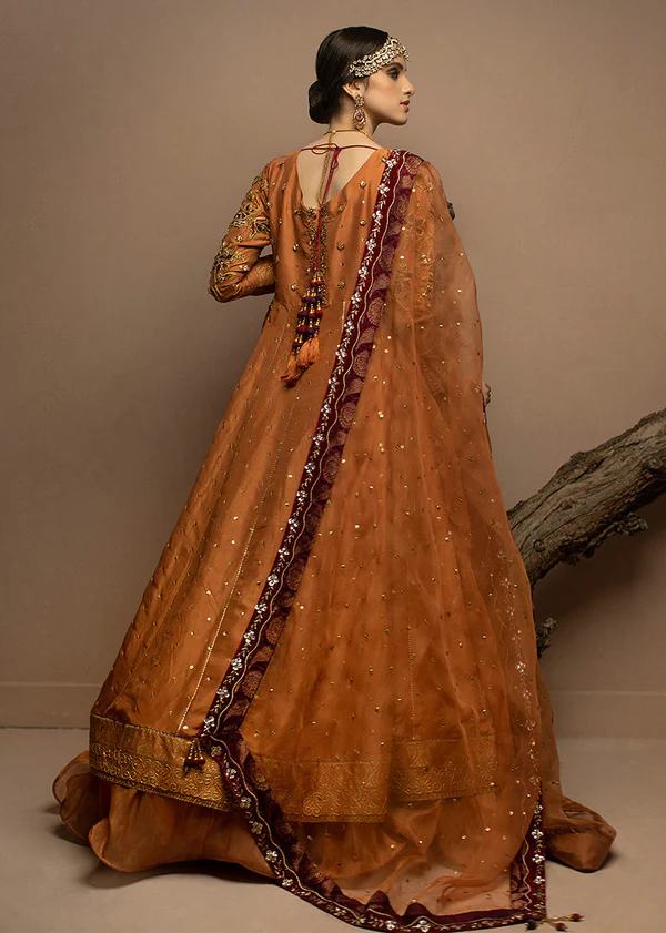 Elegant Silk and Mesuri Peshwas Ensemble - Image 5