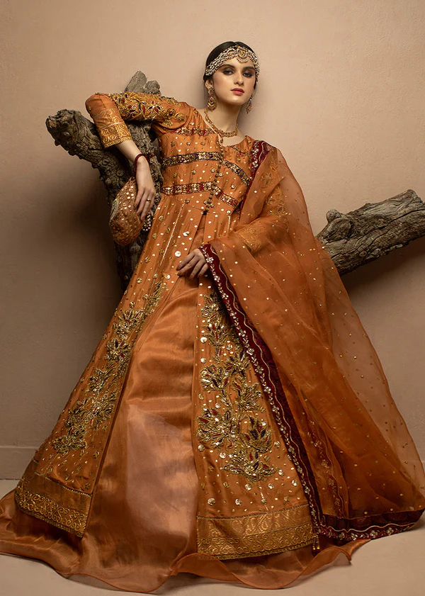 Elegant Silk and Mesuri Peshwas Ensemble - Image 4