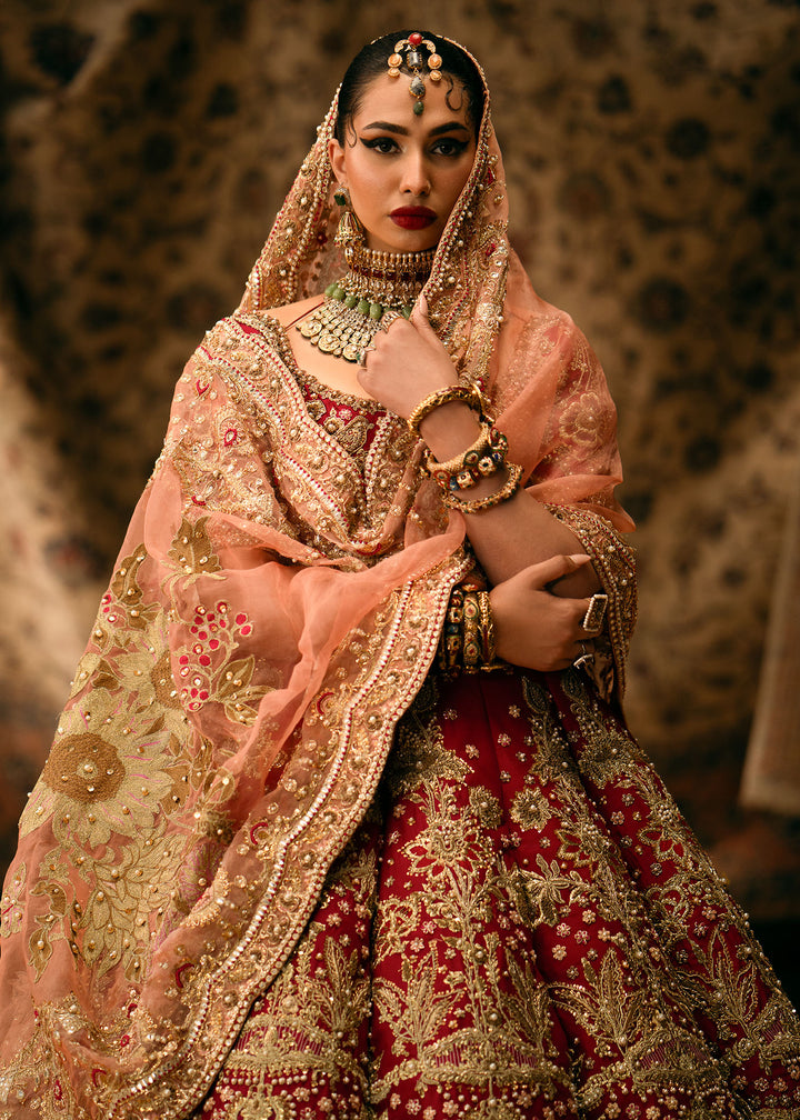 Ruby Radiance Lehenga Pishwas Ensemble - Image 3